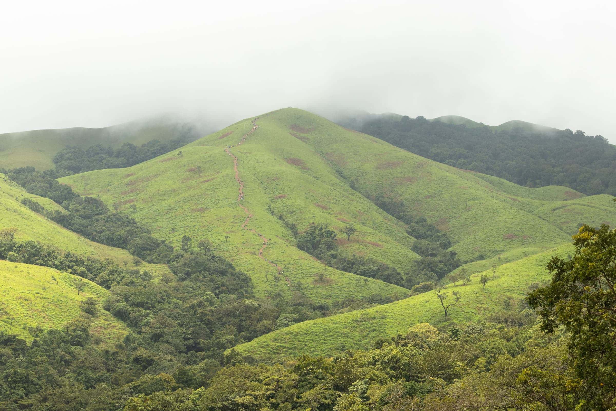 Green grassland ridges and shola forest around Netravati Peak in Kudremukh National Park, under drifting clouds