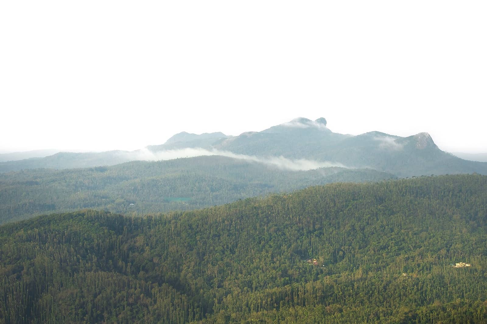 Forested Western Ghats ranges seen from the trail to Mullayanagiri, Chikkamagaluru