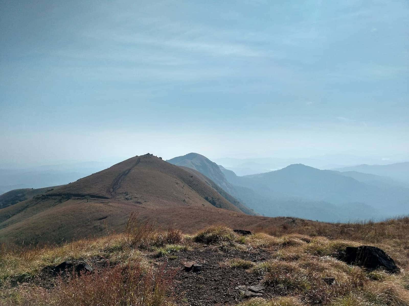 The grassy ridge of Kodachadri peak in the Western Ghats